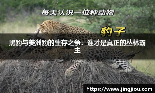 tyc151cc太阳成集团官网